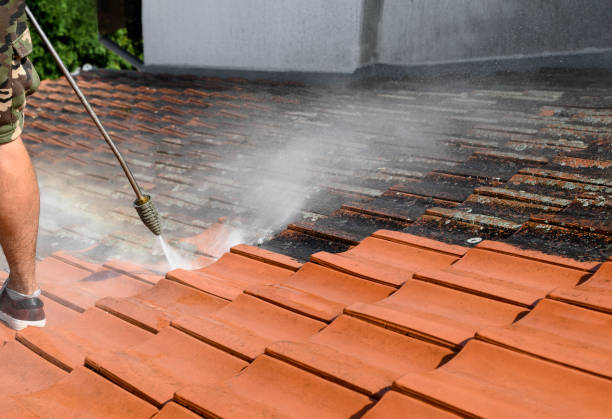Best Affordable Power Washing  in Freemansburg, PA