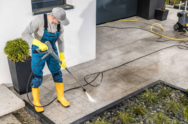Best Roof Power Washing Services  in Freemansburg, PA